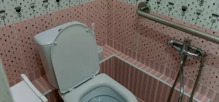 Meeting Diverse Needs With Accessible Restroom Solutions in Geneva, IL